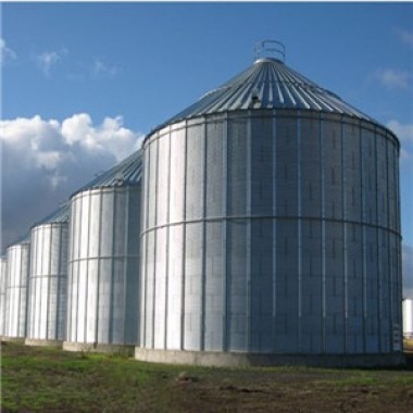 Silo de grano en venta